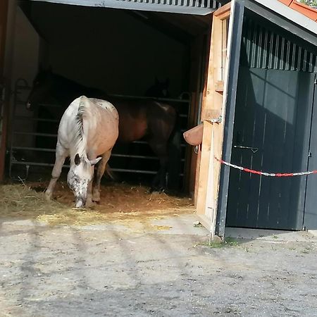 Schöfweg Wild Life Ranch 빌라 외부 사진