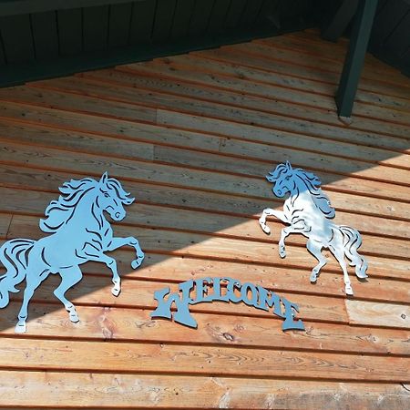 Schöfweg Wild Life Ranch 빌라 외부 사진