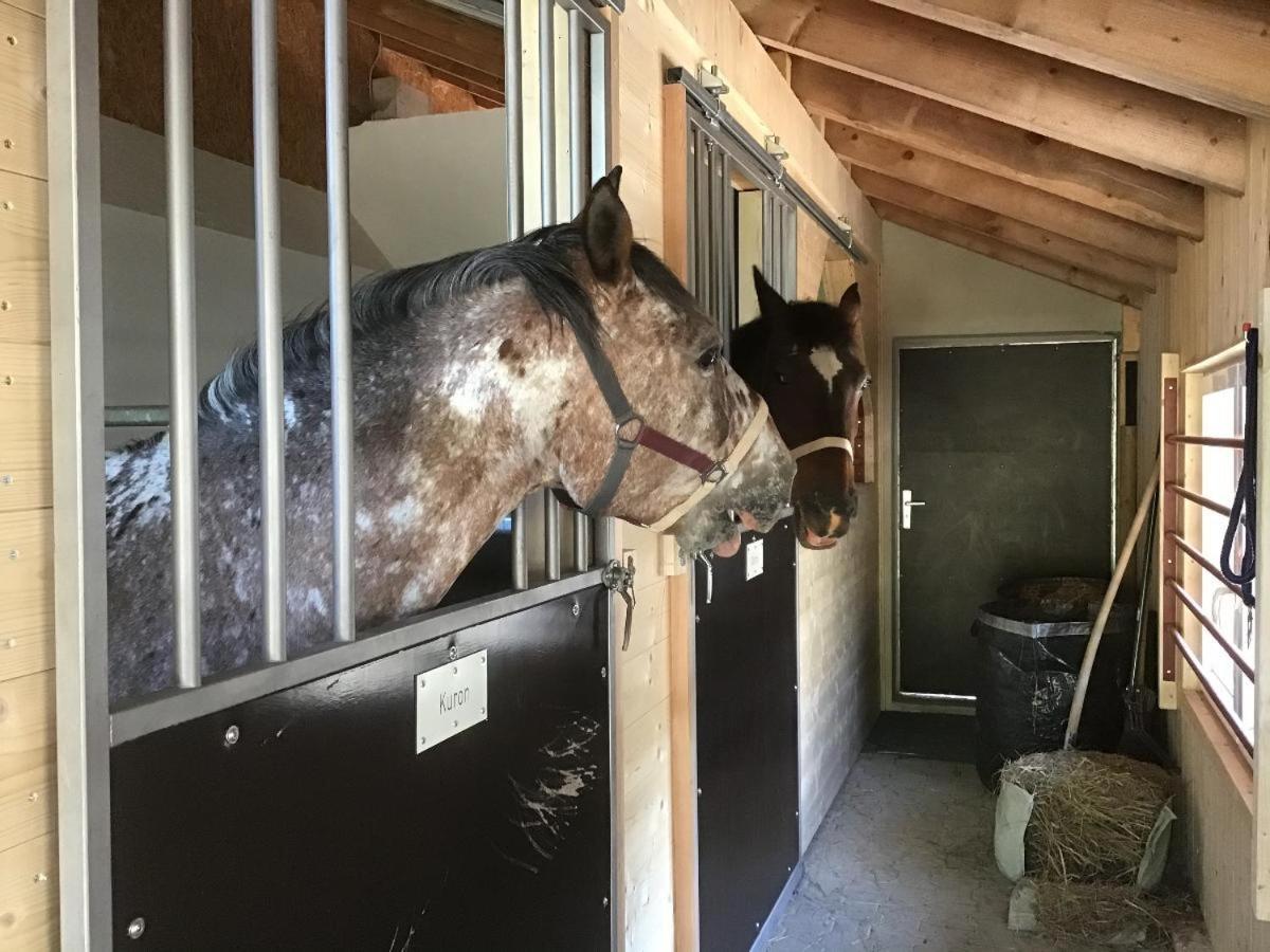 Schöfweg Wild Life Ranch 빌라 외부 사진