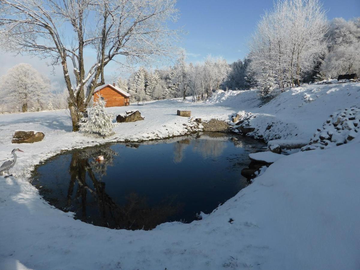 Schöfweg Wild Life Ranch 빌라 외부 사진
