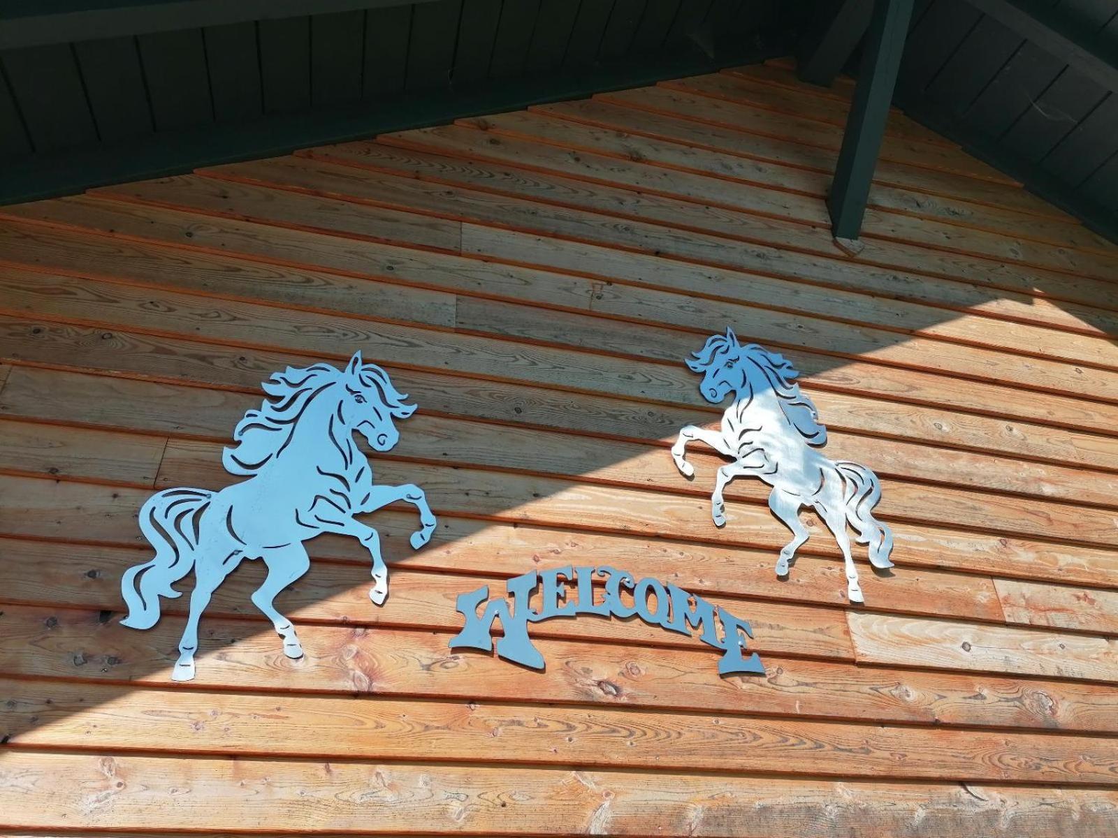 Schöfweg Wild Life Ranch 빌라 외부 사진