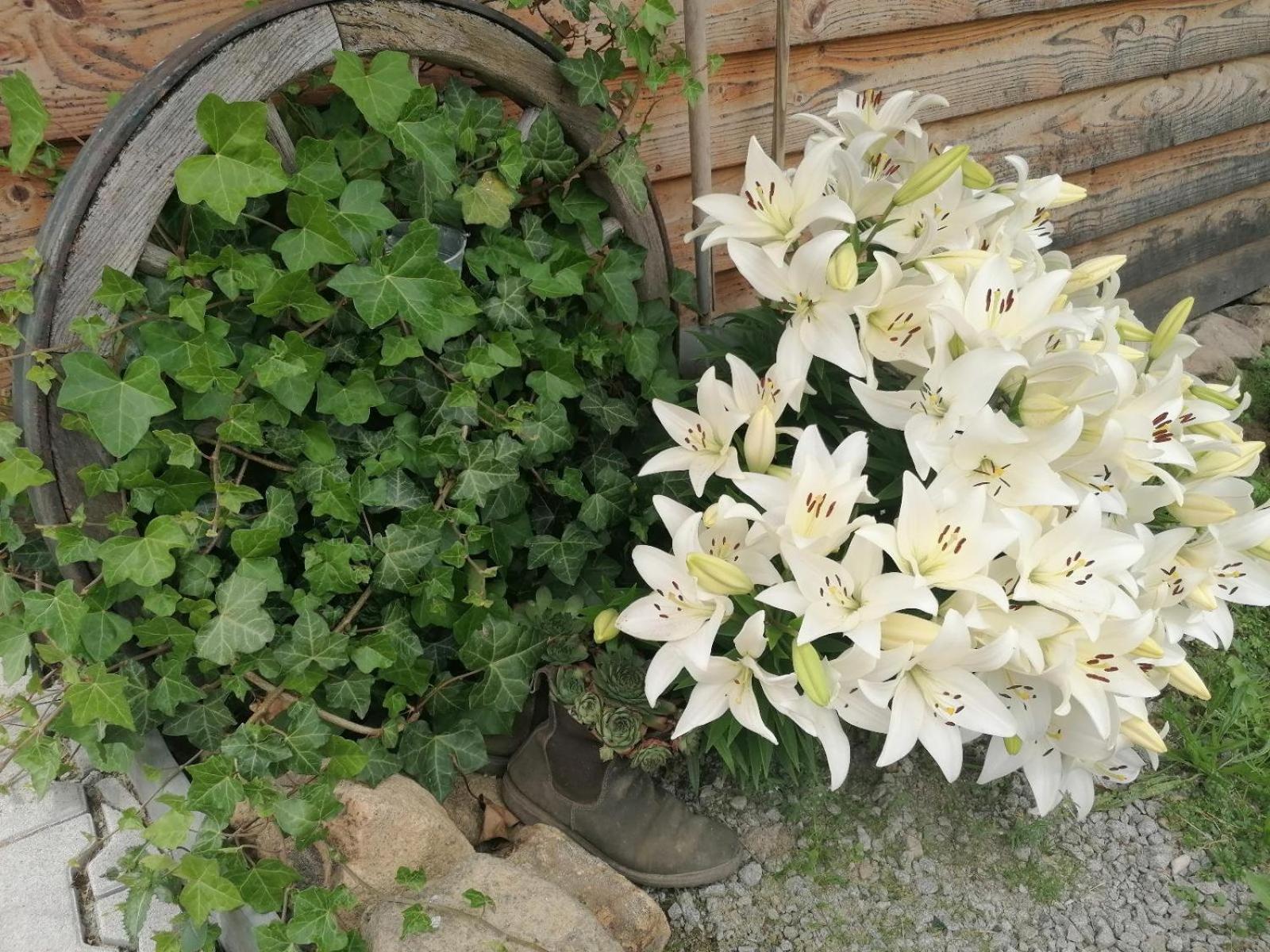 Schöfweg Wild Life Ranch 빌라 외부 사진